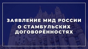 Заявление МИД России о Стамбульских договоренностях Заявление МИД России о Стамбульских договоренностях