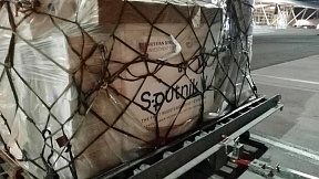 8 апреля в Армению была доставлена первая приобретенная армянской стороной партия вакцины от коронавирусной инфекции «Спутник V» в количестве 15 тыс. доз.