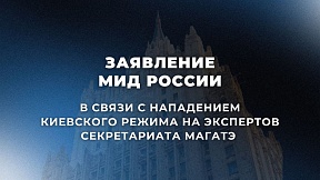 Заявление МИД России в связи с нападением киевского режима на экспертов Секретариата МАГАТЭ